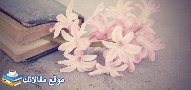 برقية تهنئة بعيد الفطر المبارك عبارات تهاني بمناسبة عيد الفطر المبارك